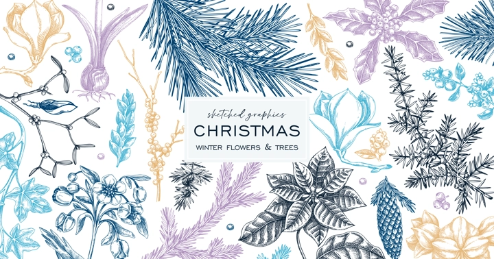 Christmas banner design. Winter plants vintage background. Conifer trees, winter flowers, berry sketches. Hand drawn vector illustration. NOT AI generated